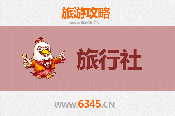 雅安名山旅游全攻略：本地旅行社推荐与深度游玩指南